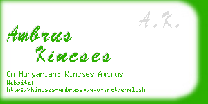 ambrus kincses business card